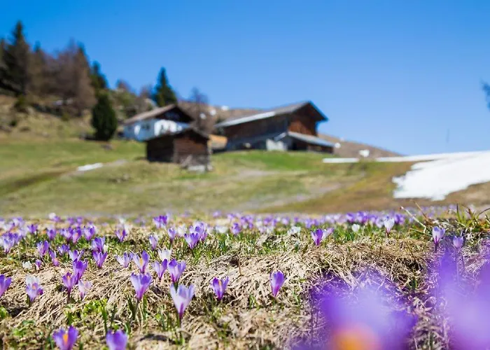 Ferienhaus/Chalet In Der Blaiche