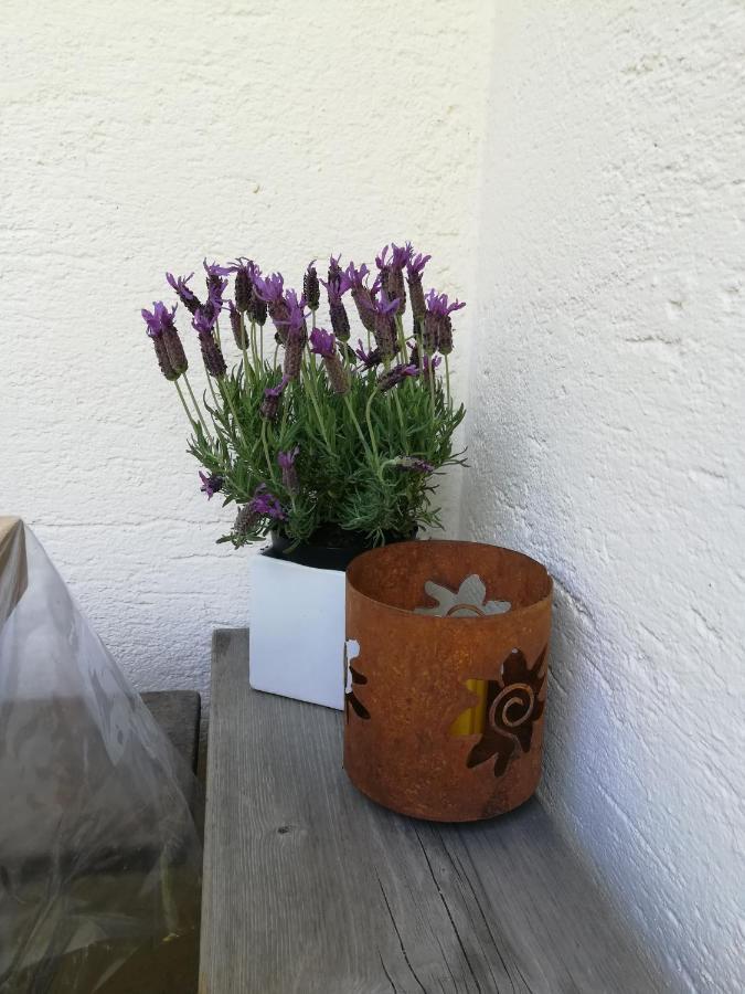 Ferienhaus/chalet In Der Blaiche Holiday home *